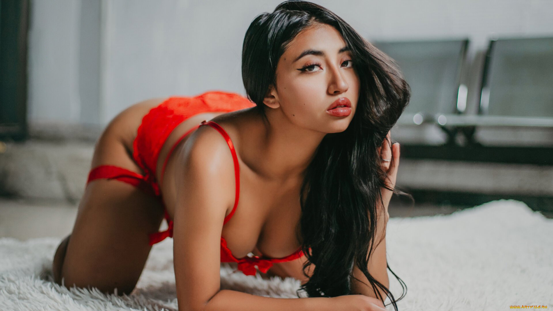 , - ,  , , 